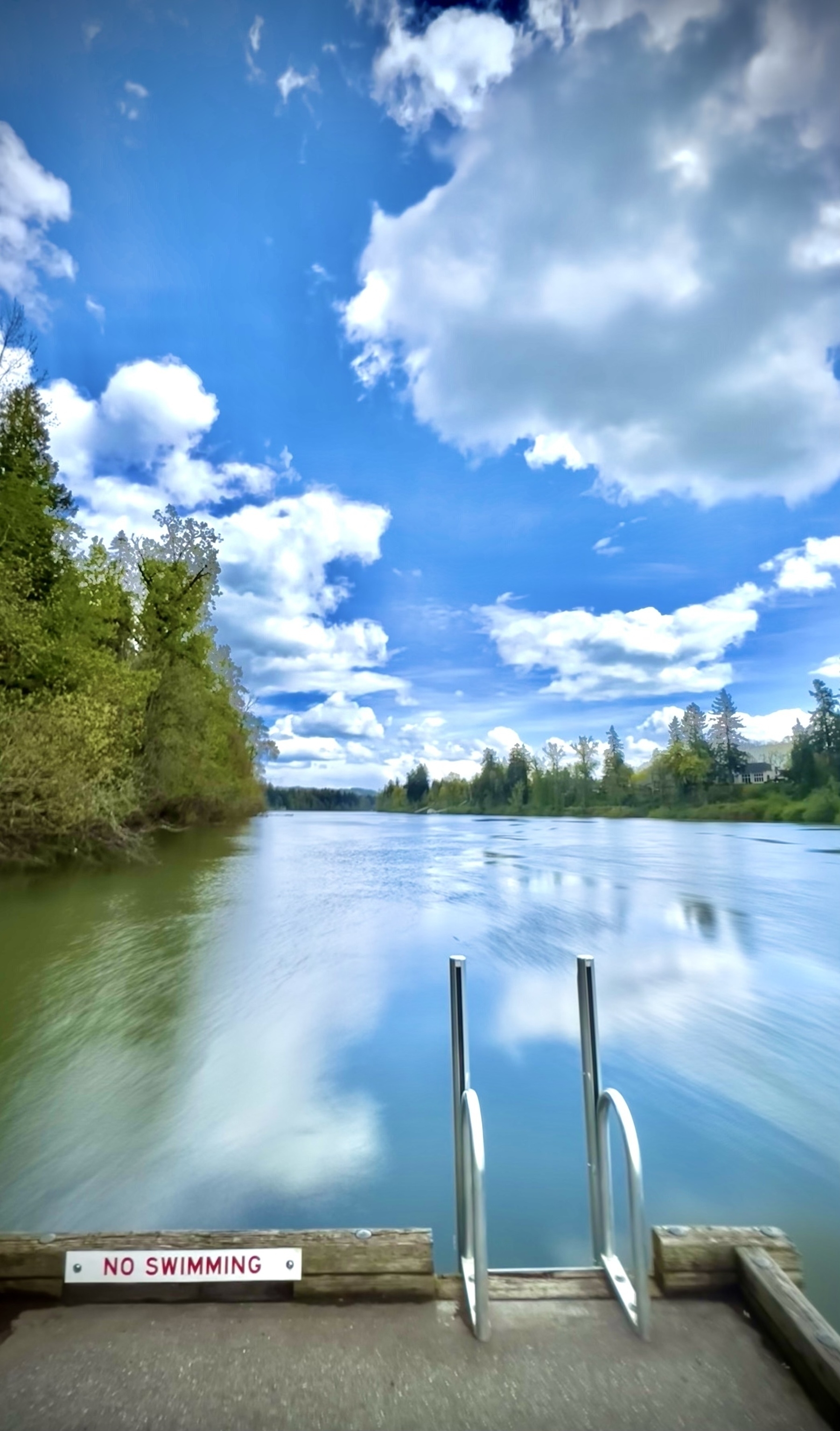 The same dock without a fallen tree with a "No Swimming" sign, surrounded by lush greenery and a cloudy blue sky.