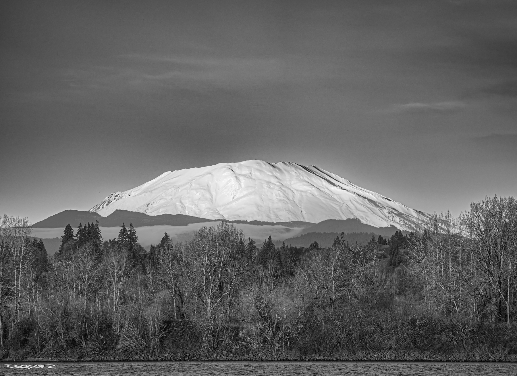 A snow-capped Loowit (Mt St Helens) is seen in the distance above a forested area and the Columbia River under a clear blue sky.