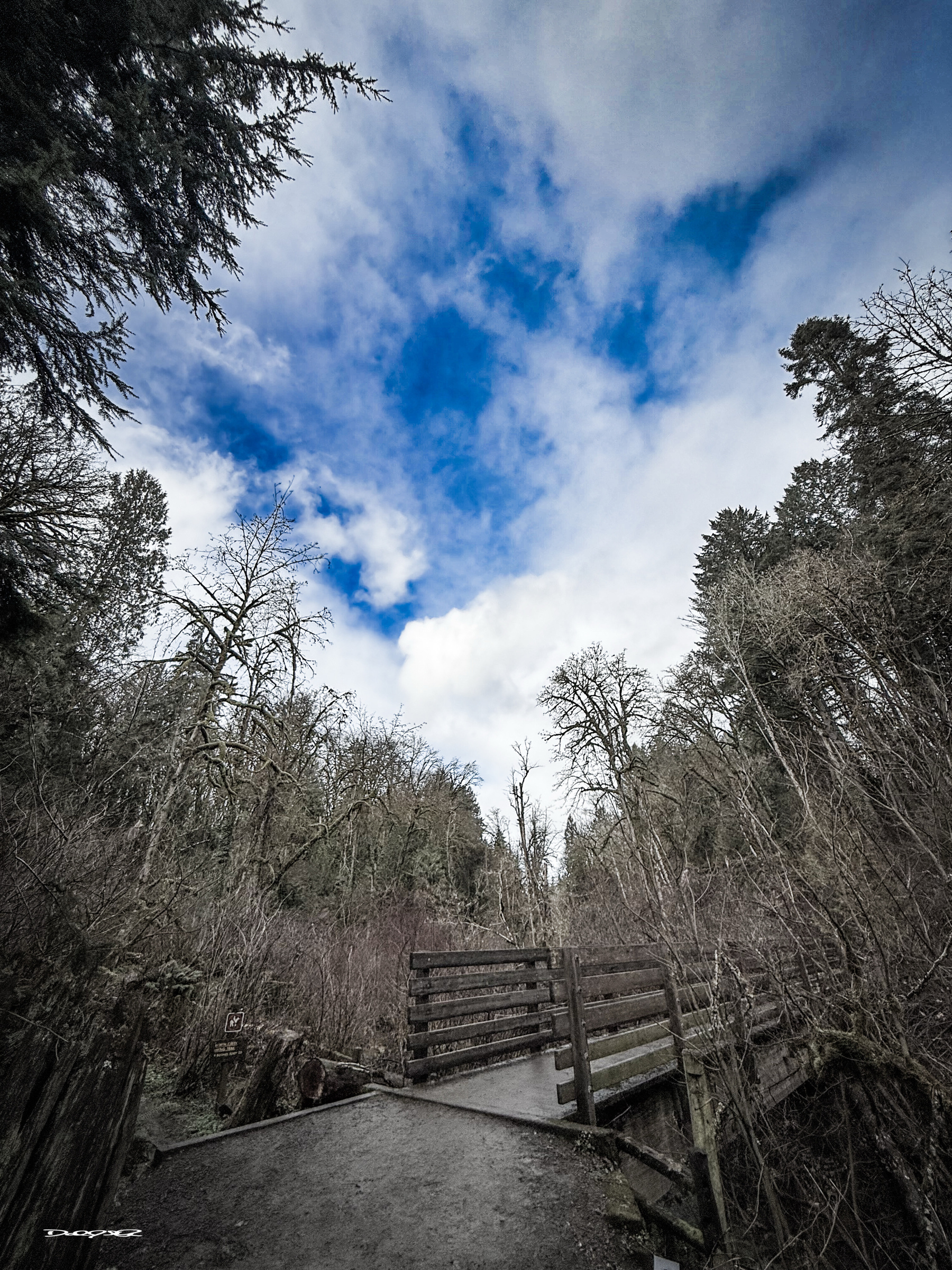 A wooden bridge spans a path in a forested area under a partly cloudy blue sky.