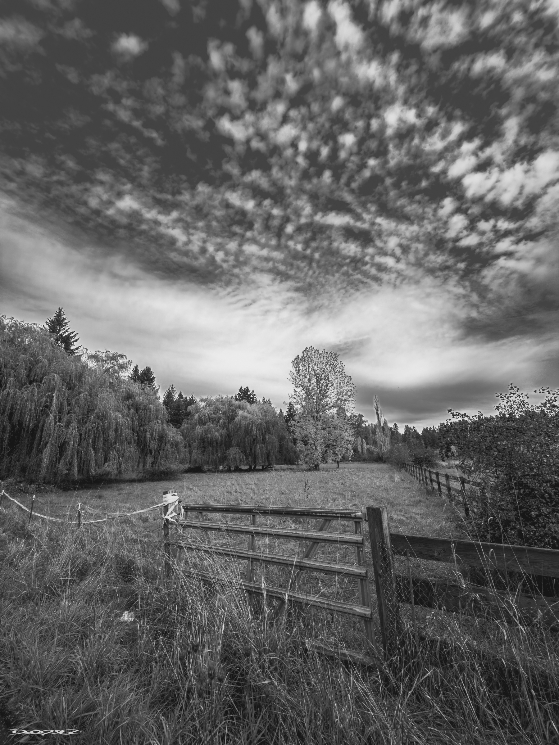 A black and white landscape features a wooden fence in the foreground, grassy fields, and dramatic clouds overhead.