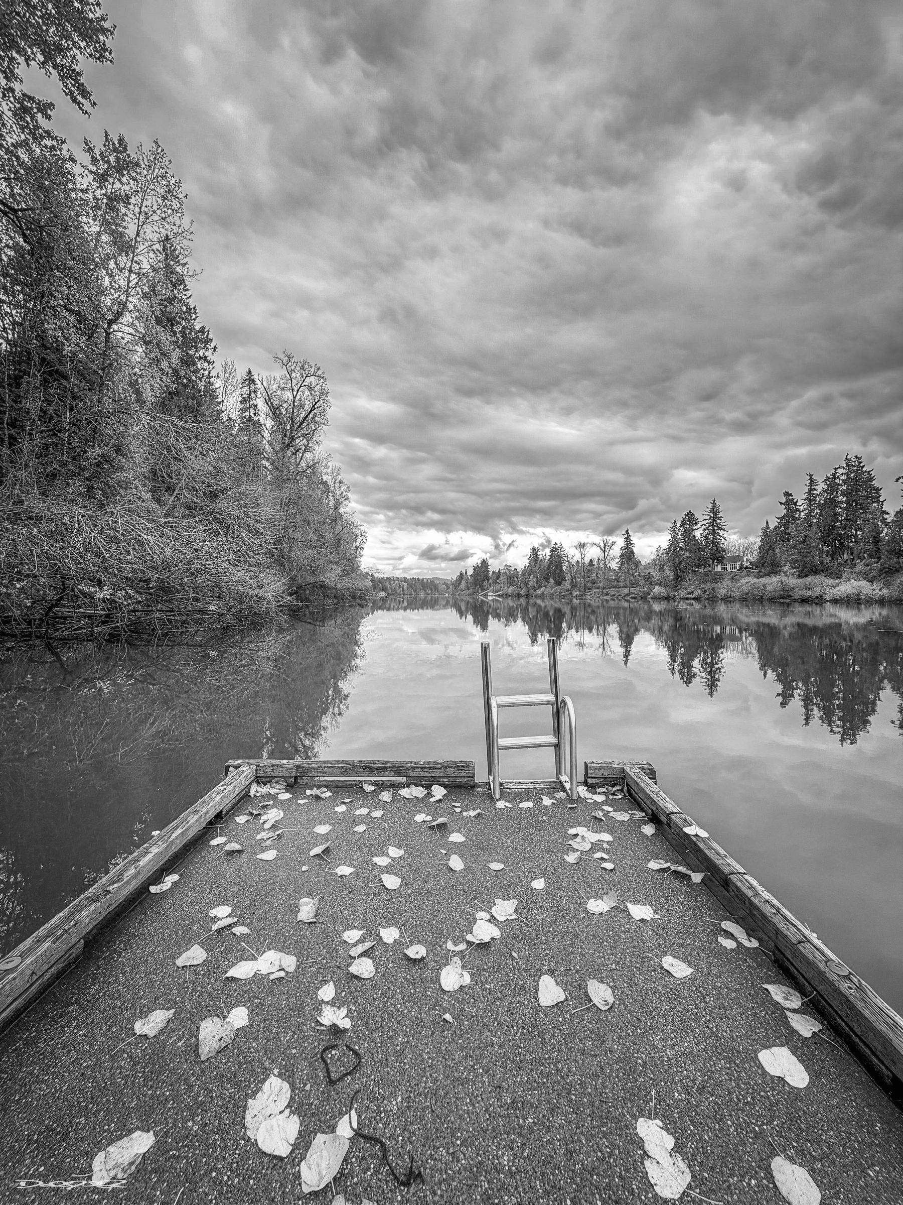 A serene lakeside scene features a metal ladder on a dock surrounded by fallen leaves, with a tranquil forest and cloudy sky reflected in the water.