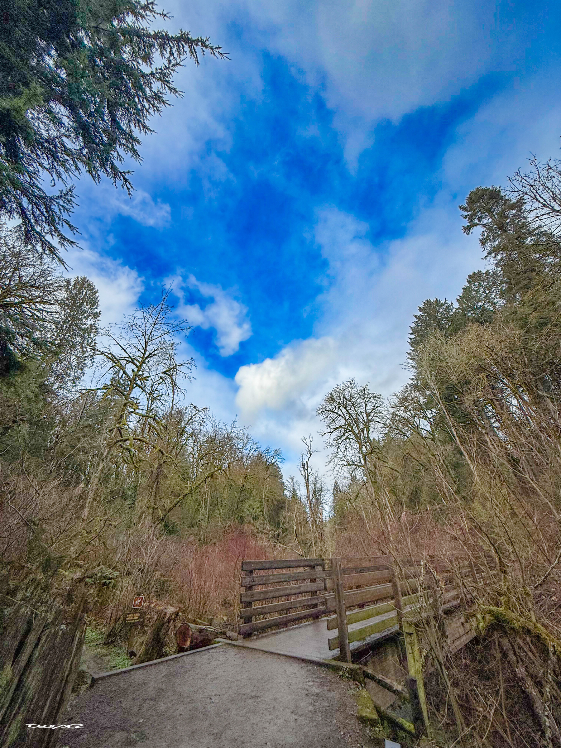 A wooden bridge crosses a path in a forested area under a vibrant blue sky with fluffy clouds.