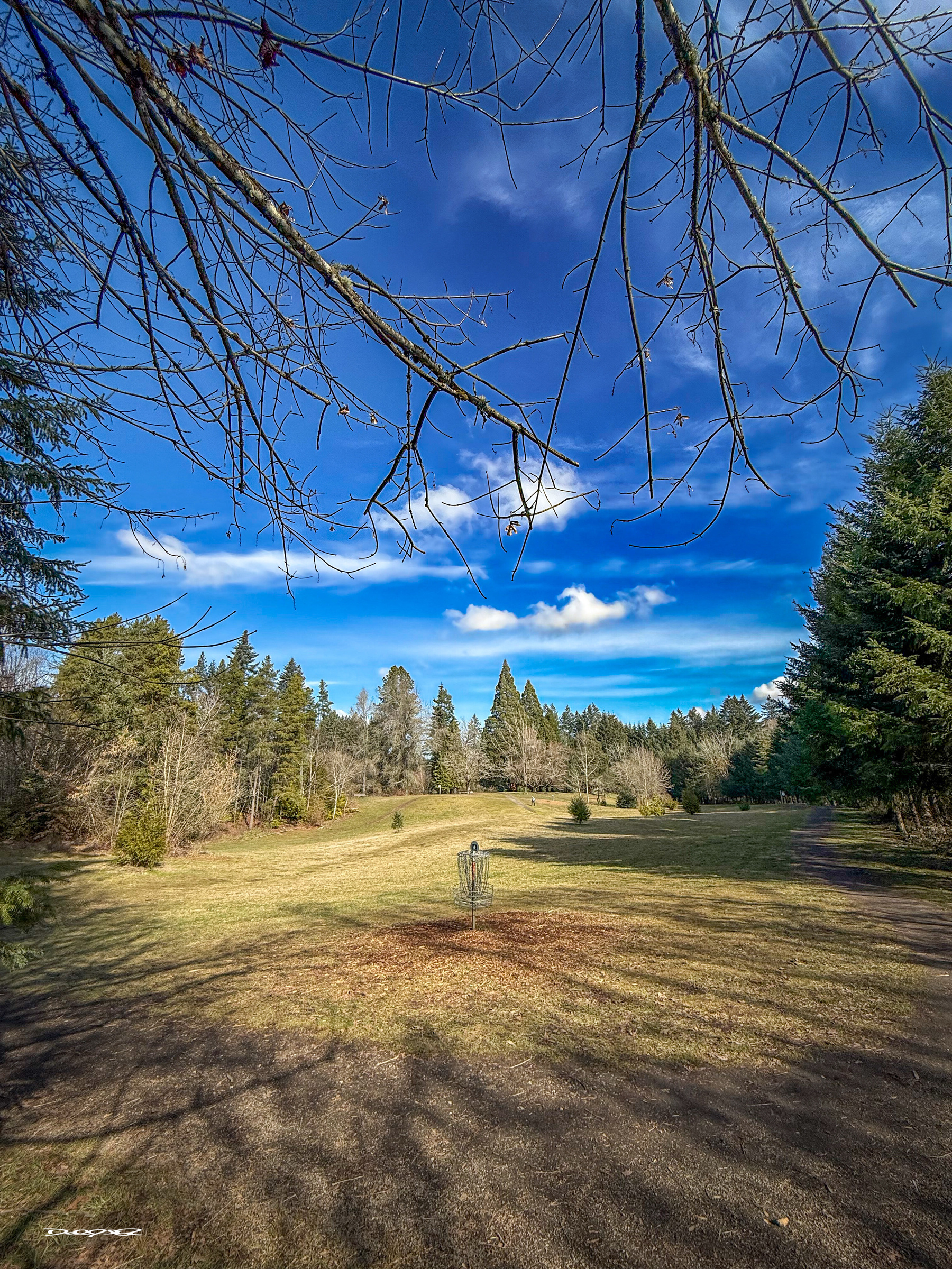 The 7th fairway and basket at the Memorial Park Disc Golf course sits in a serene landscape featuring a grassy field bordered by trees under a bright blue sky with scattered clouds.