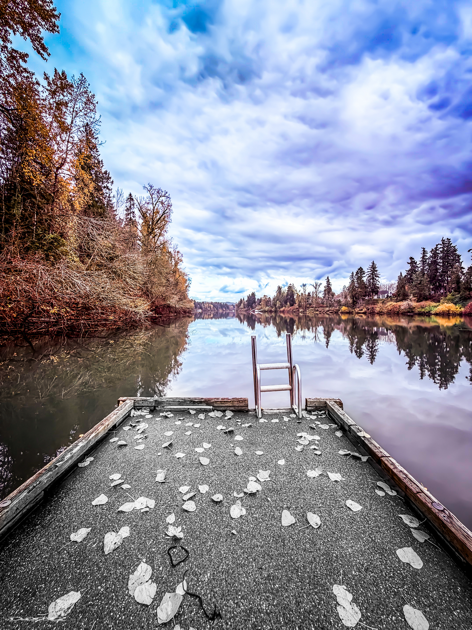 A serene waterfront scene features a dock with scattered leaves, calm reflective water, and a backdrop of trees under a partly cloudy sky.