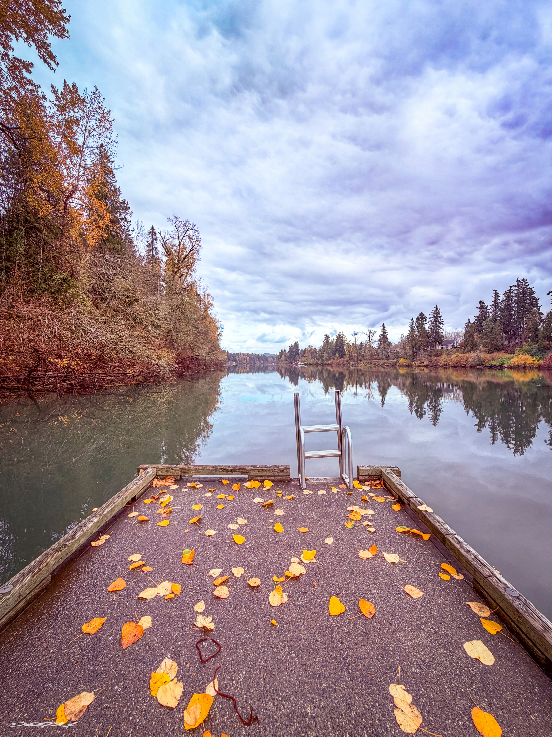 A tranquil river view features a dock covered with autumn leaves, surrounded by trees and under a cloudy sky.