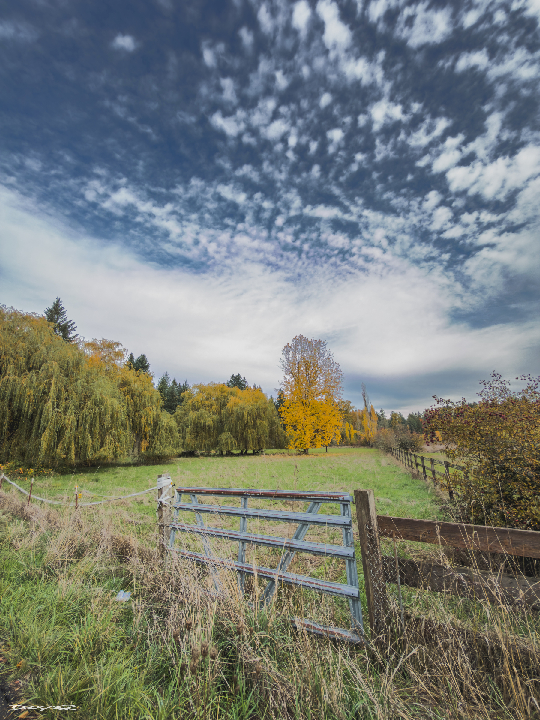 A grassy field with a metal gate, surrounded by trees with autumn foliage, under a dramatic cloudy sky.