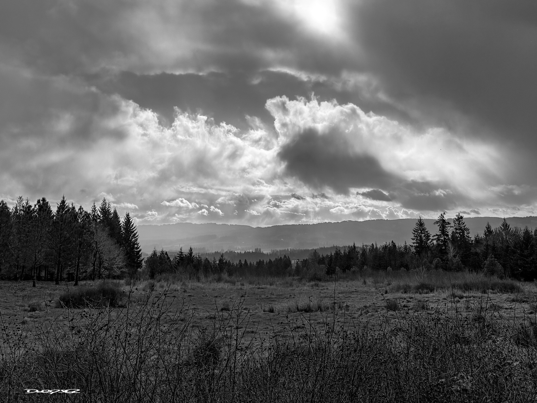 2) B&W photo: A scenic landscape features a cloudy sky with patches of blue, sunlight breaking through, and a grassy field bordered by trees.